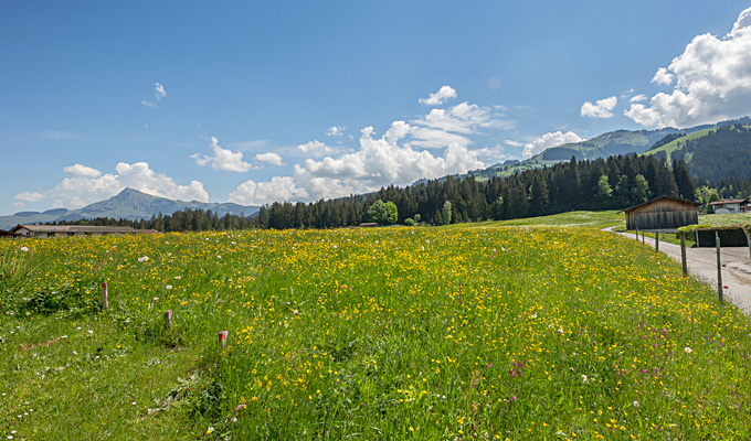 Standort Giglmairhof